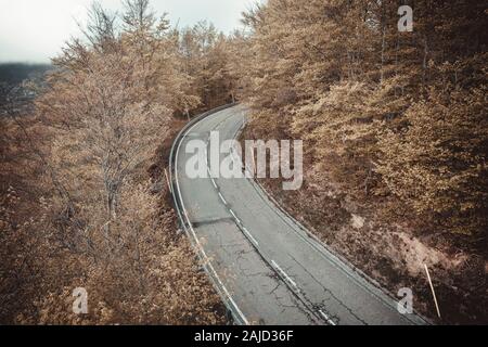 forest`s road from aerial view Stock Photo